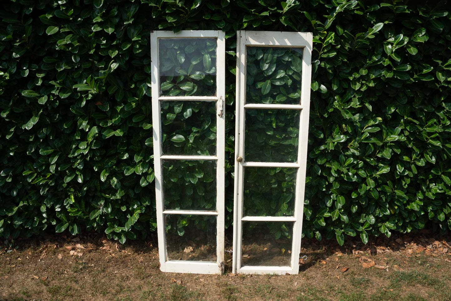Two Window panes x 2 stand upright on grass before green leafy bushes.